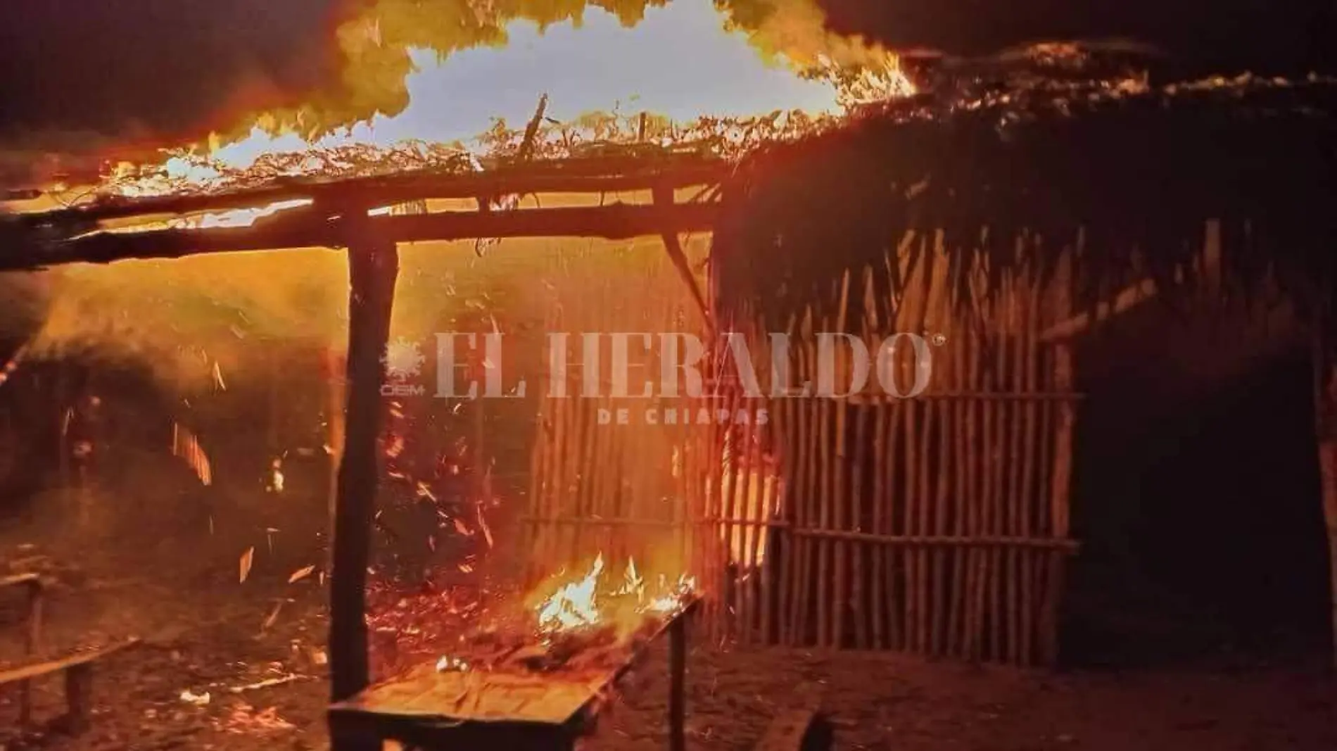 arde palapa